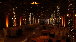 outdoor event lighting